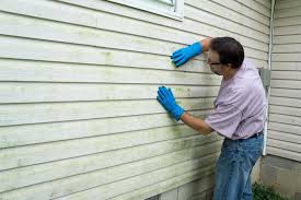 Best Siding for Commercial Buildings  in Orosi, CA